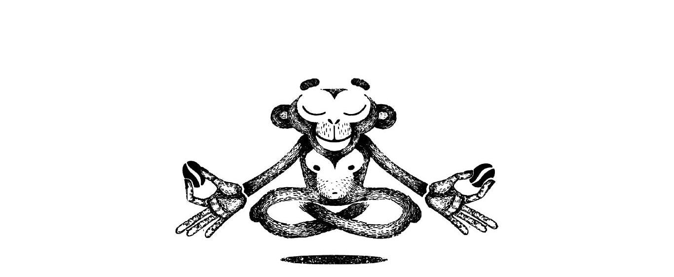 Mindful Roast, formerly Healthy Coffee Guy, Logo Monkey Character. Monkey sitting crossed legs, in meditation pose, holding coffee beans in each hand.
